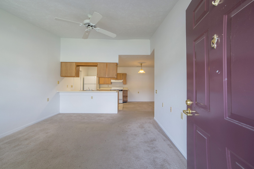 Living Area with Carpet
