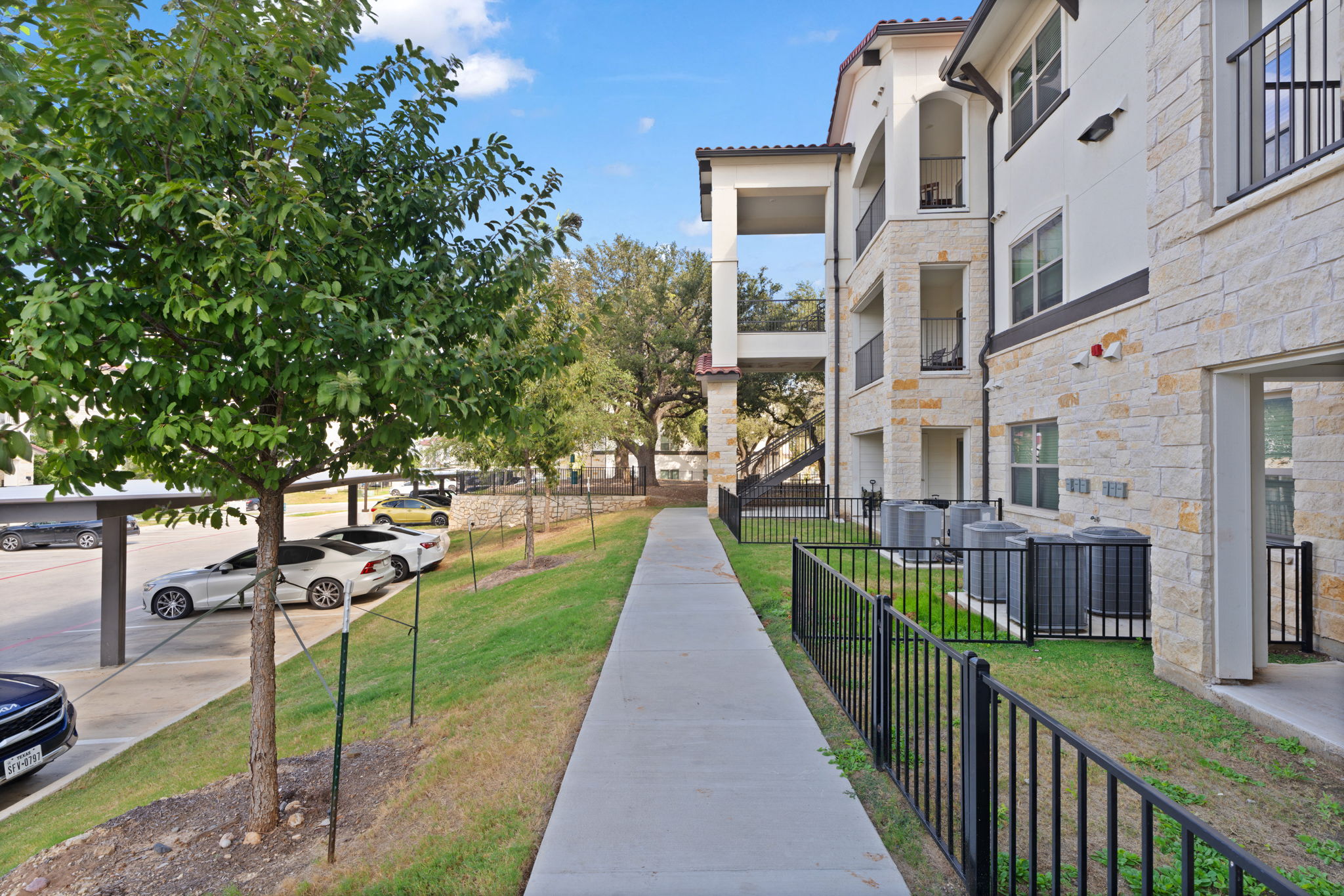 Water Oak Image 84