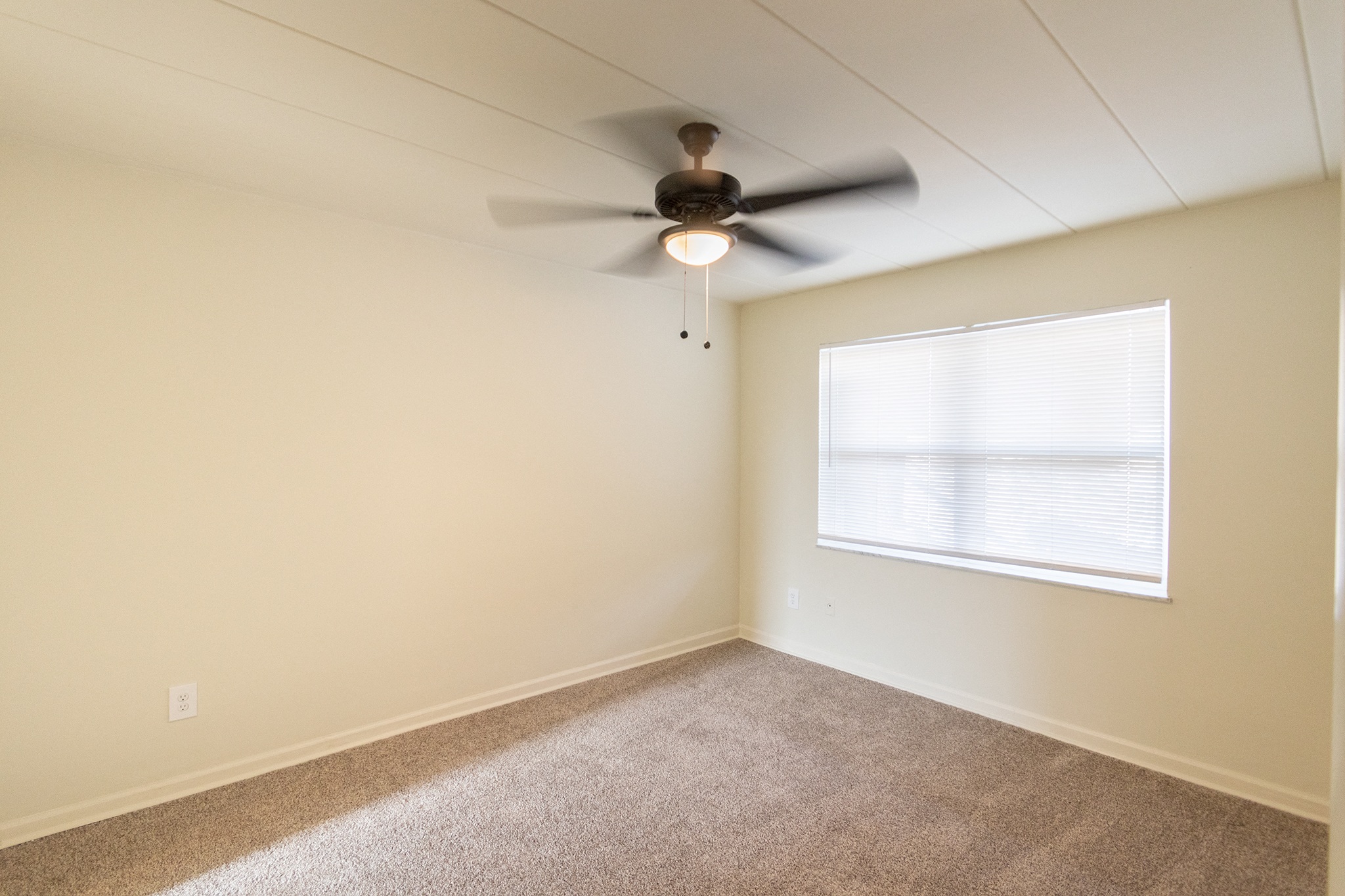 College Woods Image 38