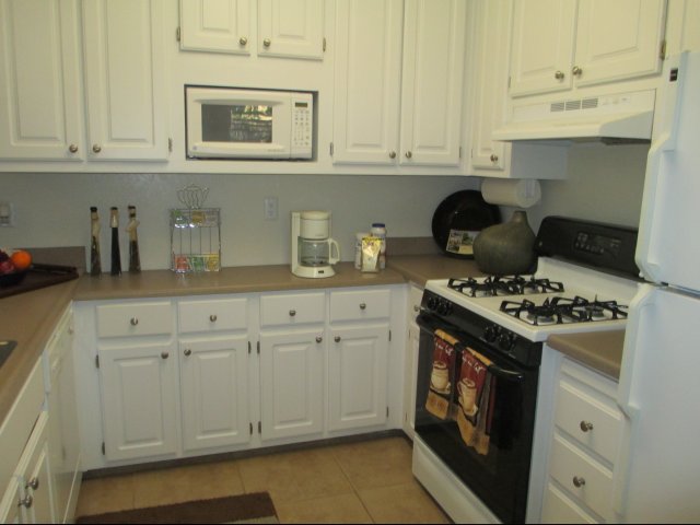Large Open Kitchen Area