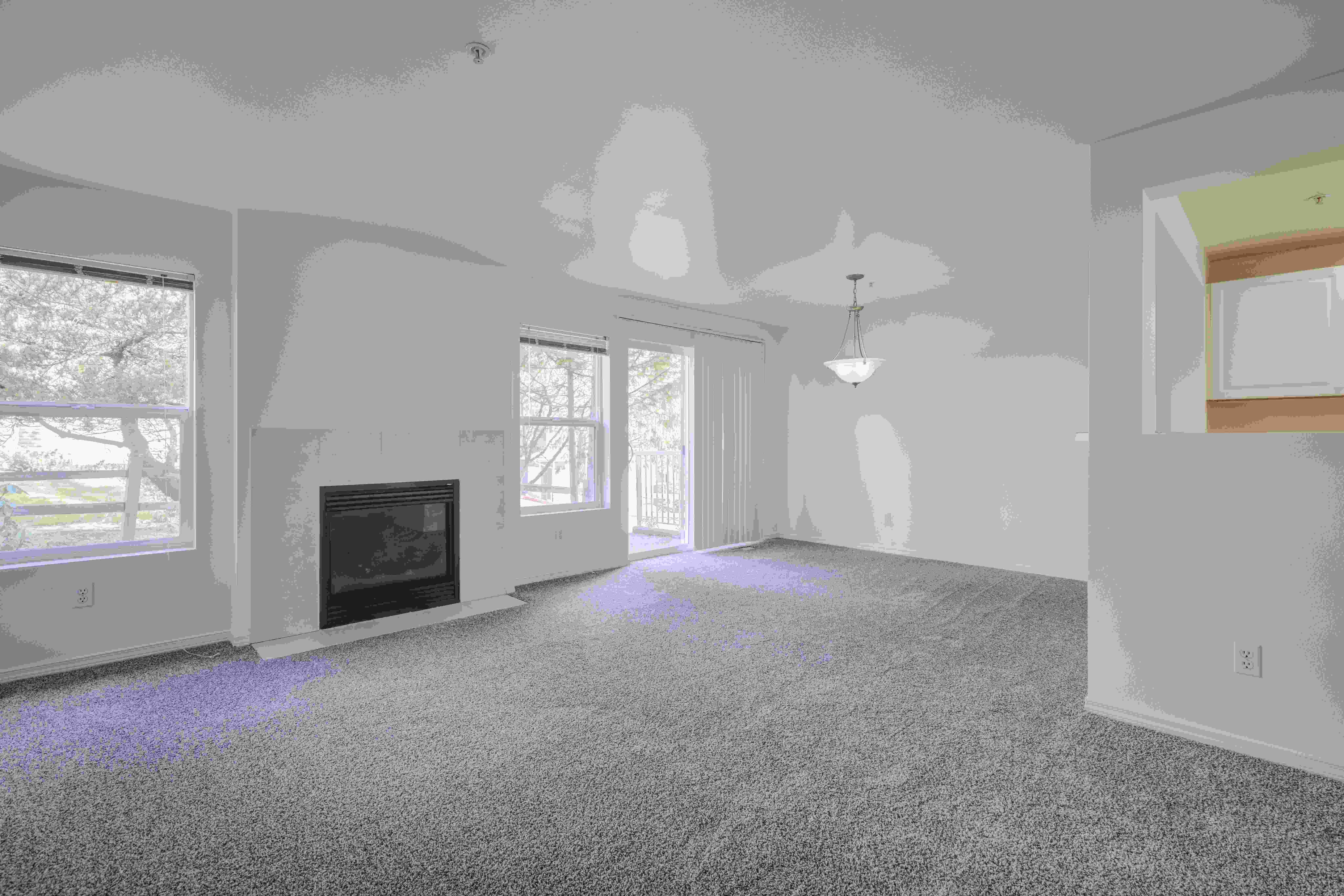 Langara Image 11