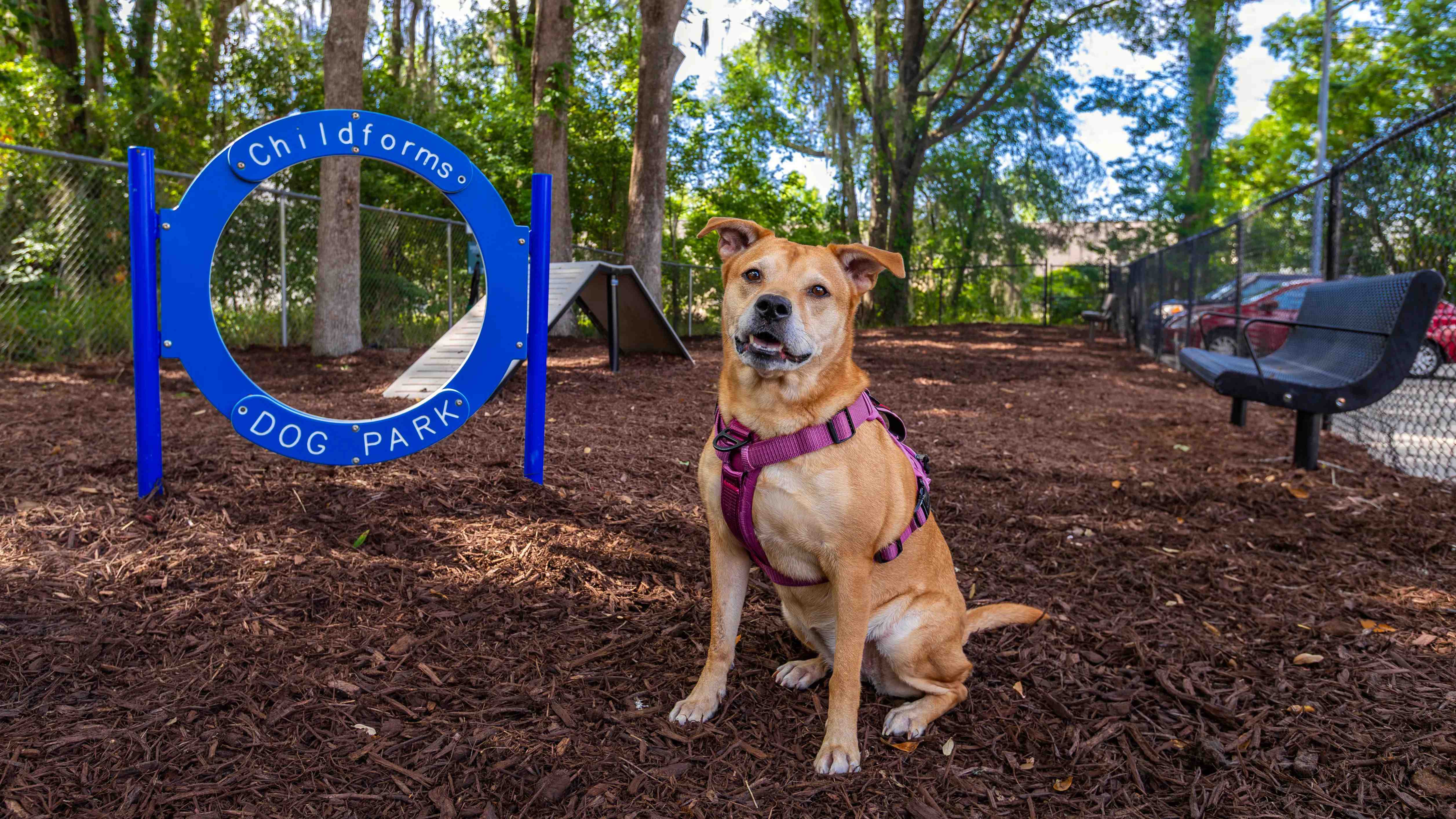 Bring your furry friends to our off-leash dog park, complete with agility equipment and shaded seating for pet parents.