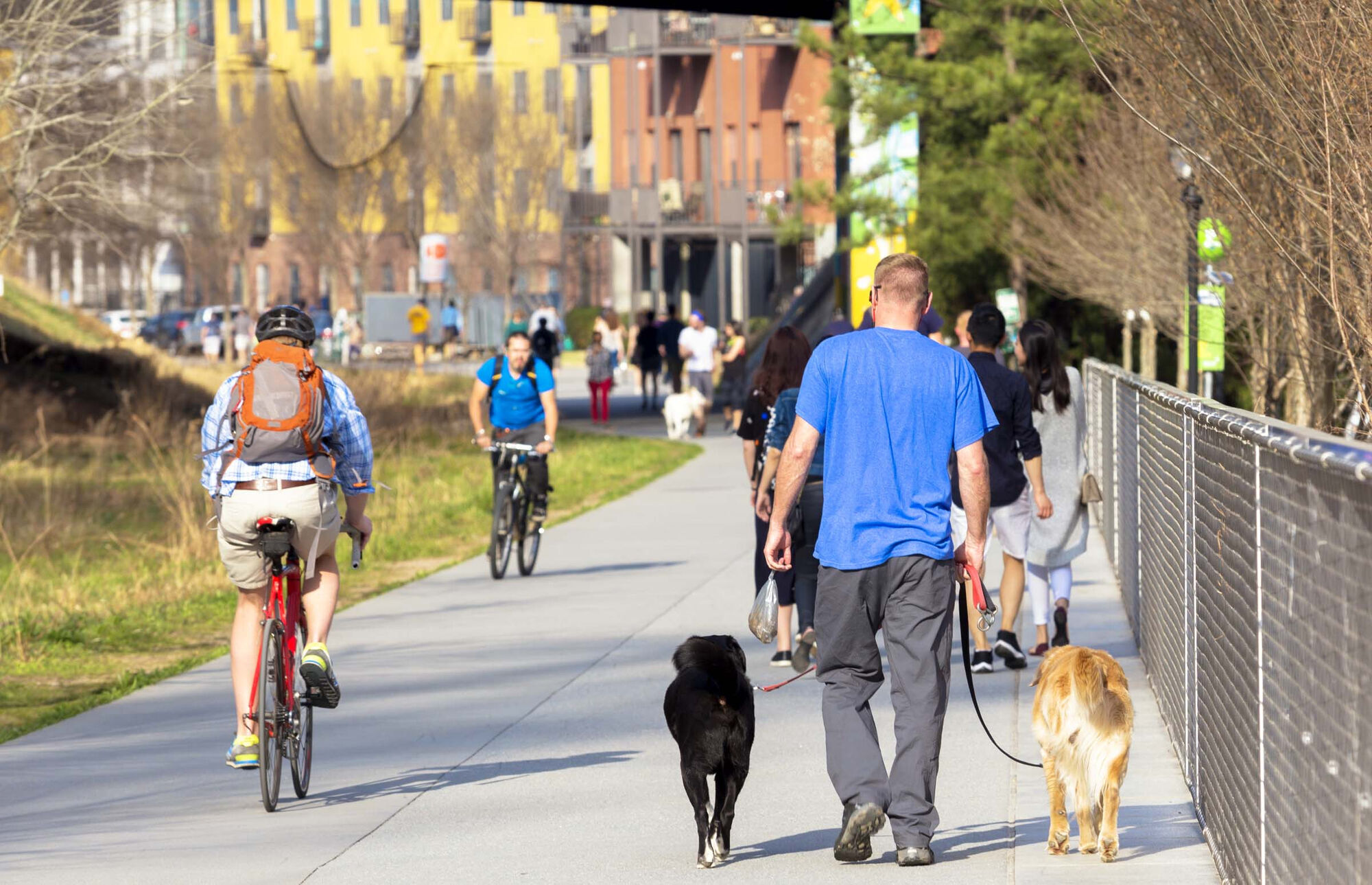 Camden Brookwood Image 33