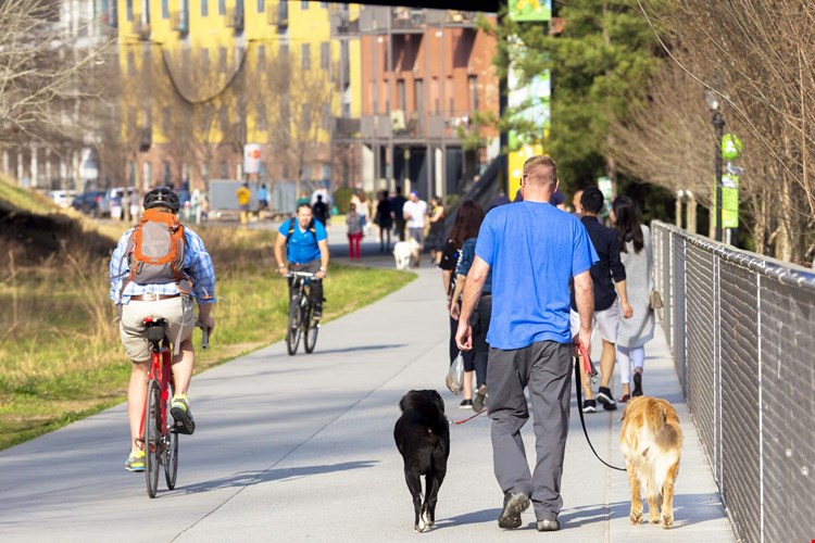 Camden Brookwood Image 33