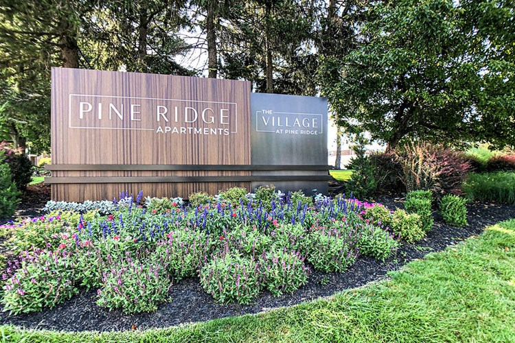 The Village at Pine Ridge Image 3