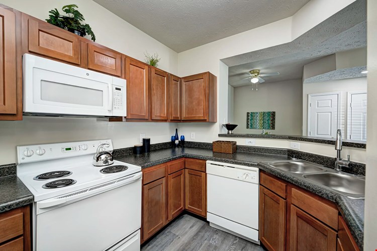 Autumn Chase Image 8