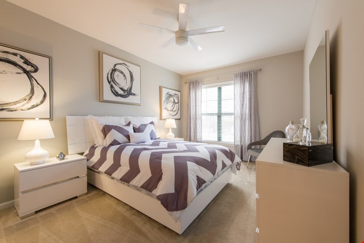 Cosmo at Lorton Image 11