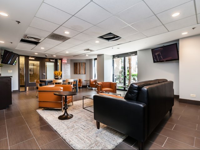 Free Wifi in the Cybe Cafe