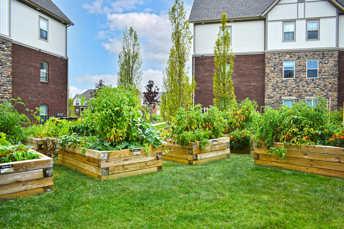 Ravines at Westar Image 4