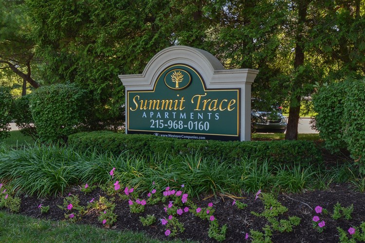 Summit Trace Apartments Image 1
