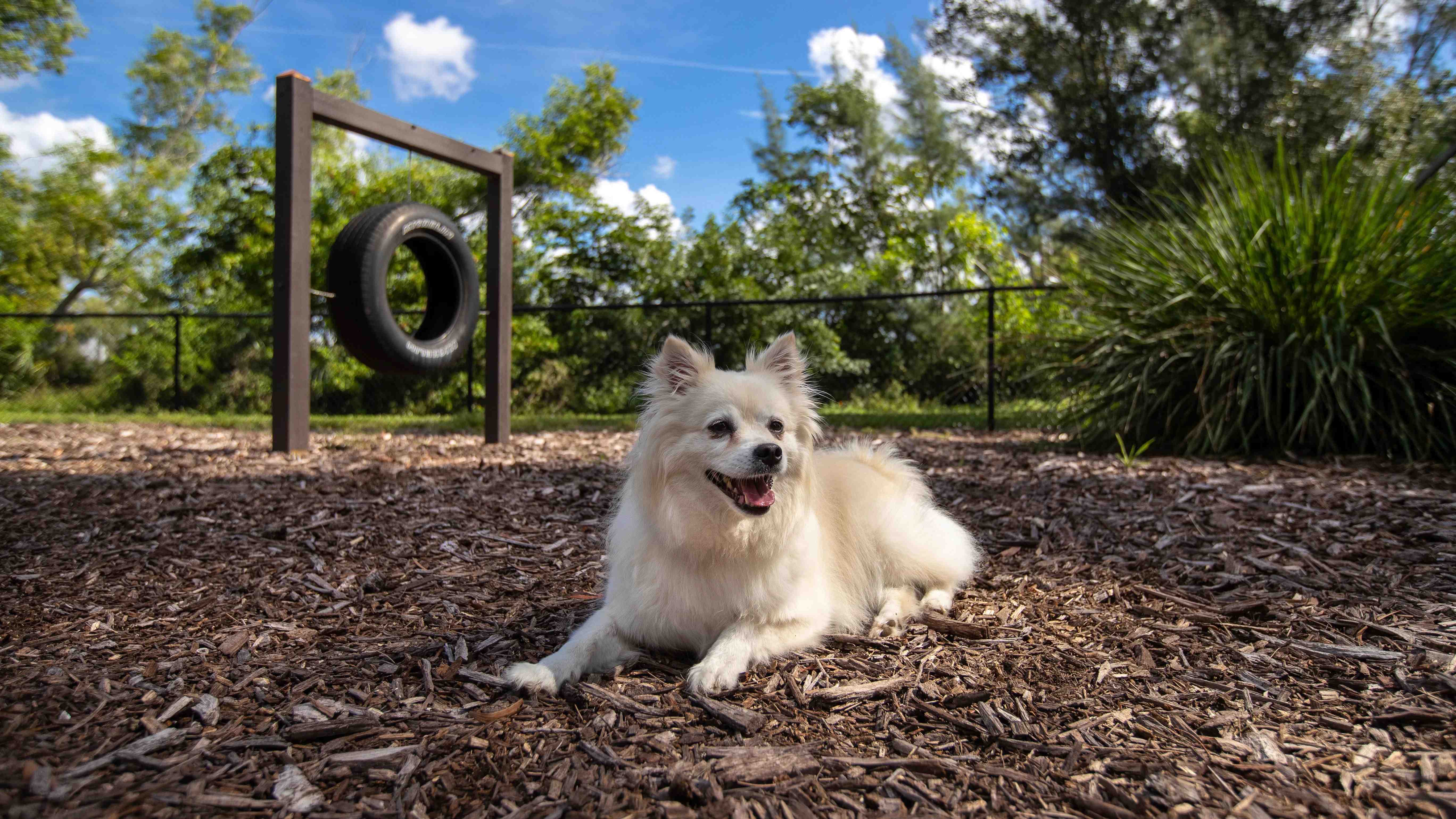 Enjoy long walks around the property and explore our off-leash bark park boasting agility equipment with your furry friends. We are the ideal pet-friendly apartment community in Naples that you and your pet deserve! 