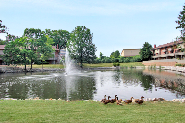 64 Acre Park Setting