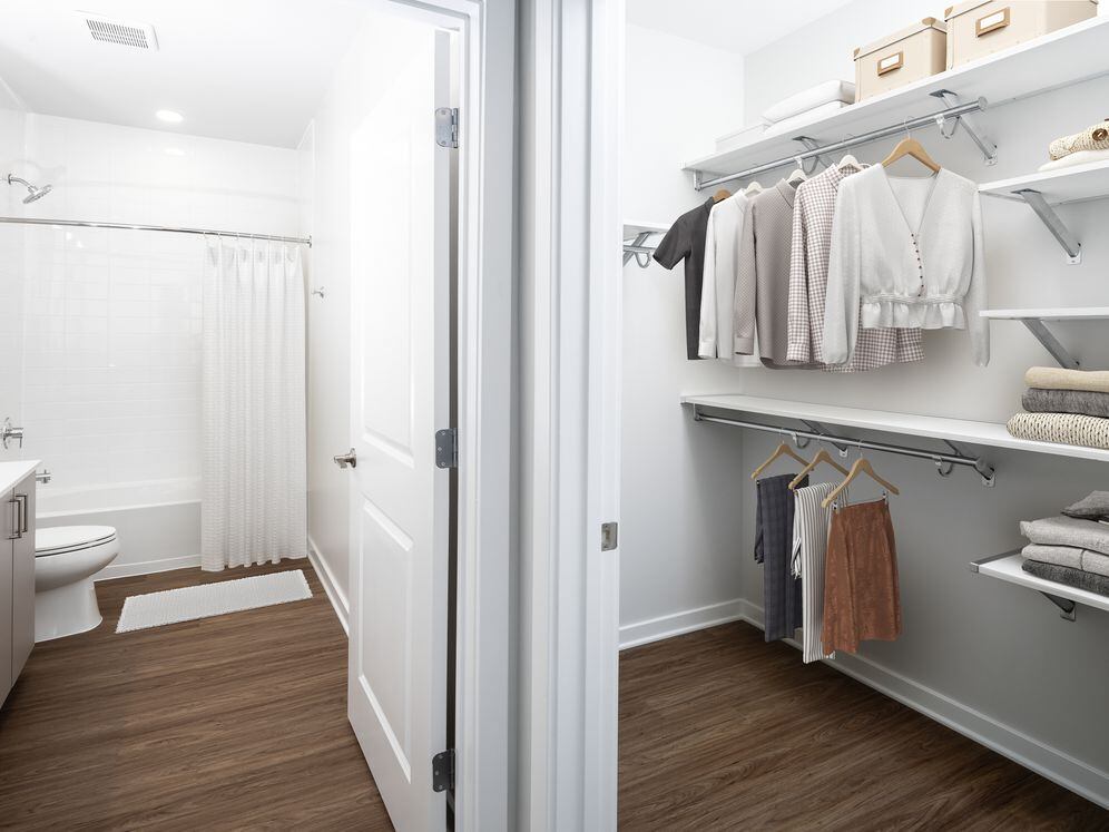 Bath and walk-in closet with hard surface flooring