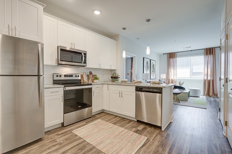 Constellation Image 5