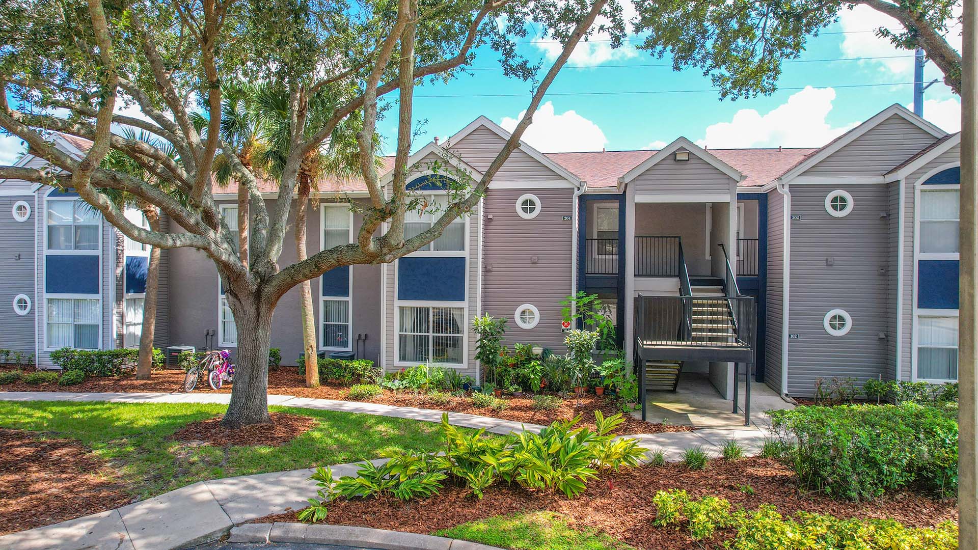 Cricket Club Image 20