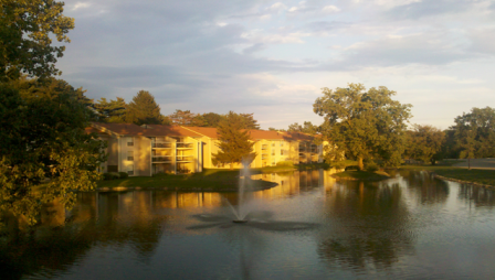 The Pines of Cloverlane Image 9