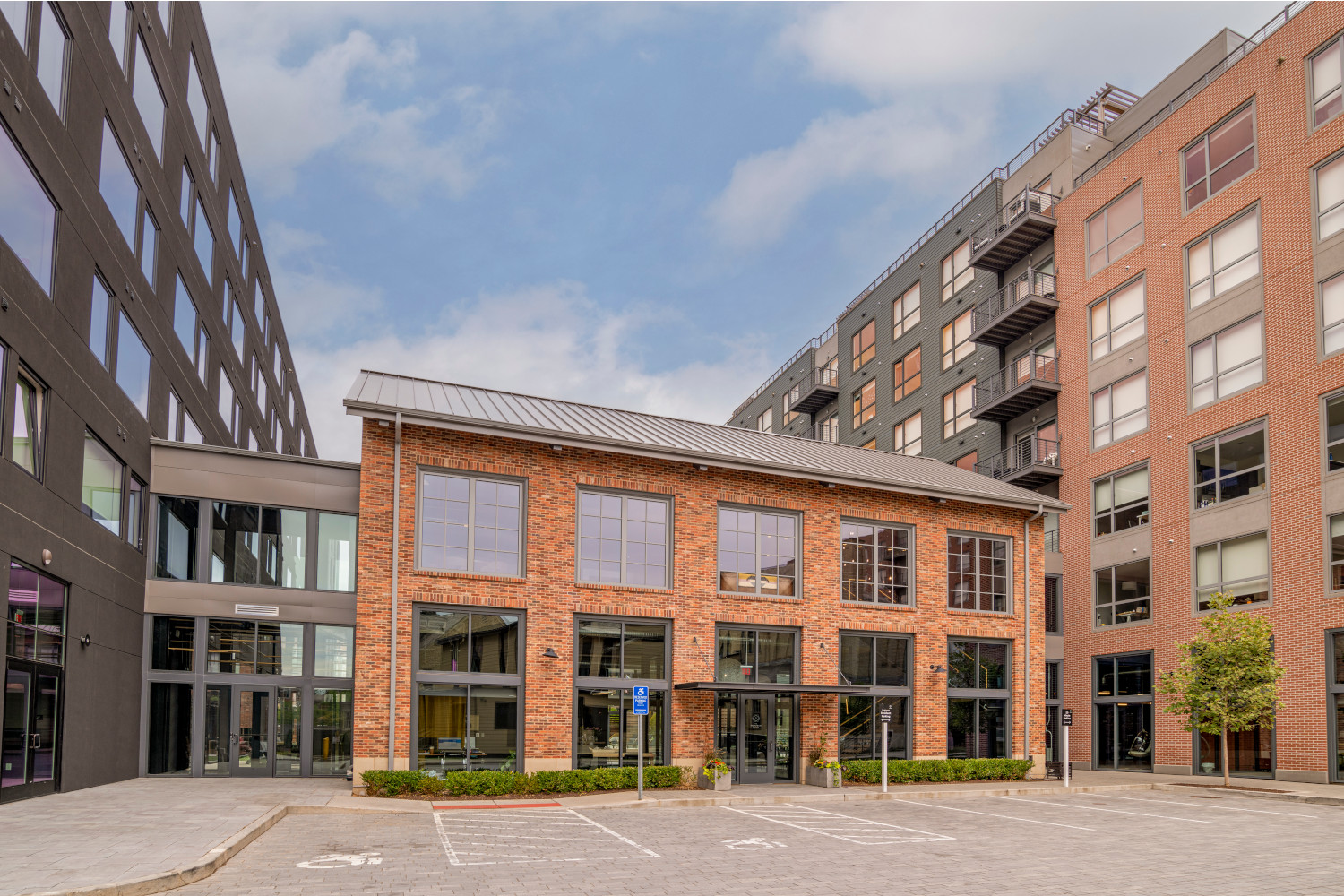 The Audubon Image 54