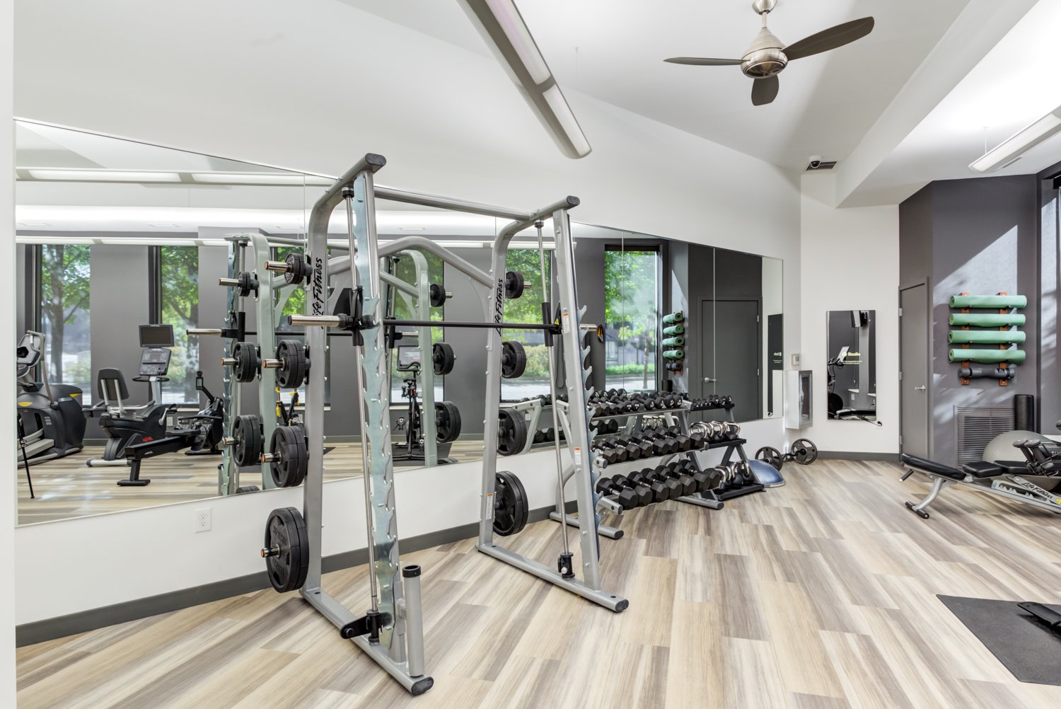 Fitness Center Equipped with Free Weights