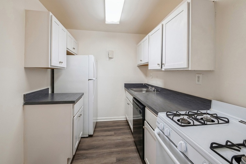  re | NEW Springfield Image 4