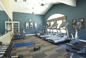 Dublin Terrace Image 7