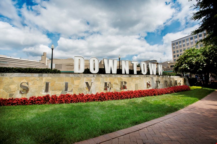 Colesville Towers Image 29