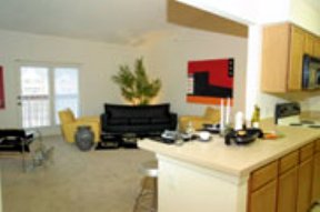 Living Room / Kitchen