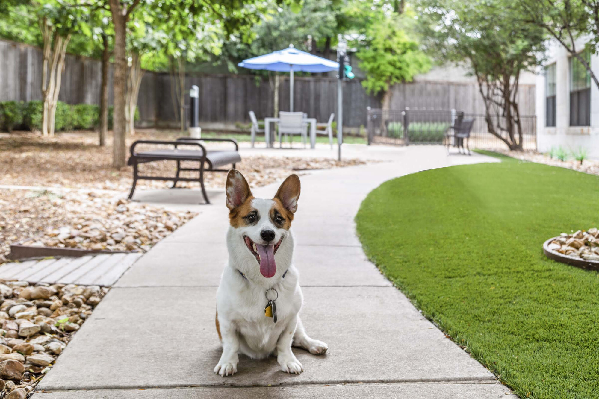 Camden Lamar Heights Image 32