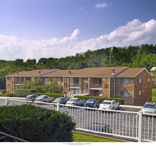 Eagle Stream Image 4