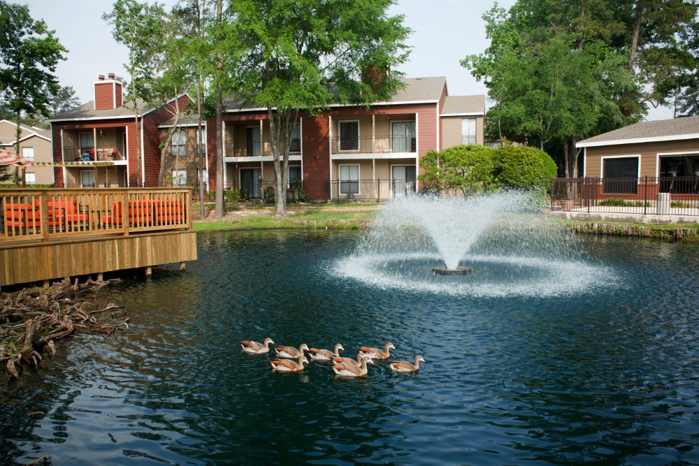 Fishing Pond