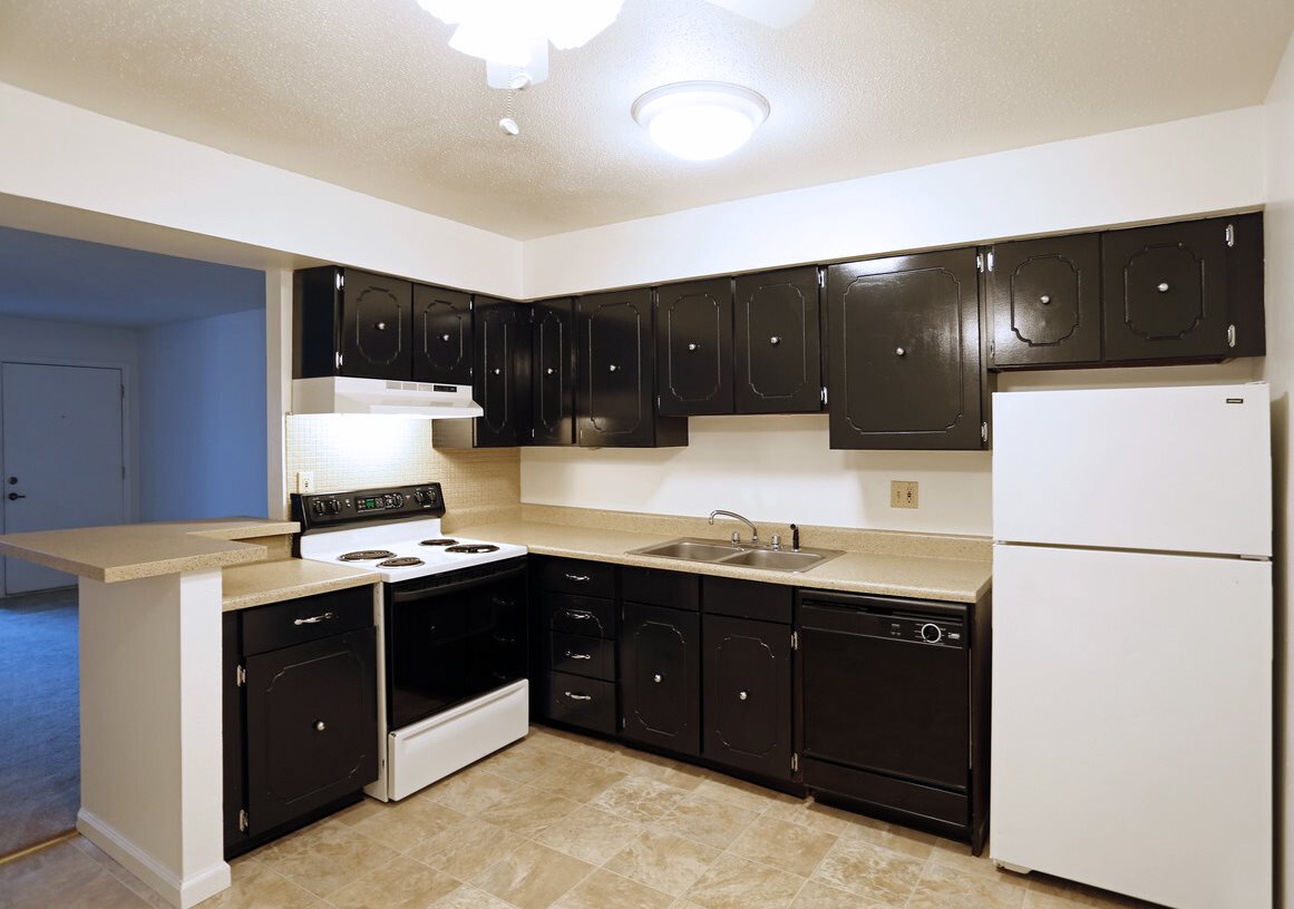 Hazelwood Forest Image 6