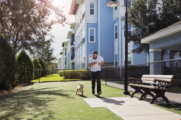 Camden Lavina Image 23