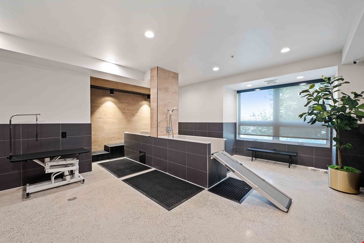 IMT Gallery 421 Image 35