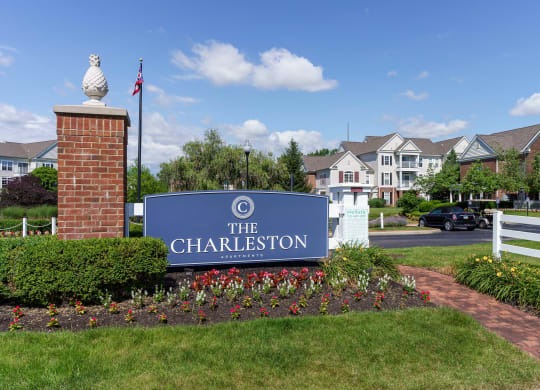 The Charleston Image 1