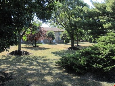Ridgedale Gardens Image 7