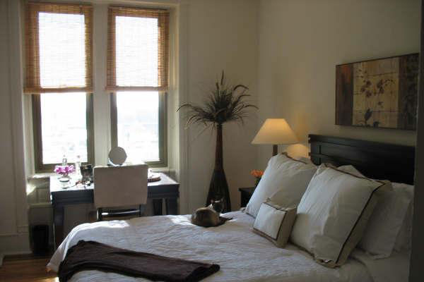 The Newport Image 13