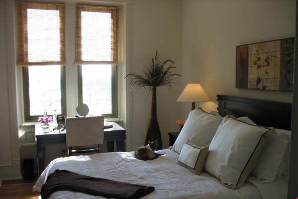 The Newport Image 13