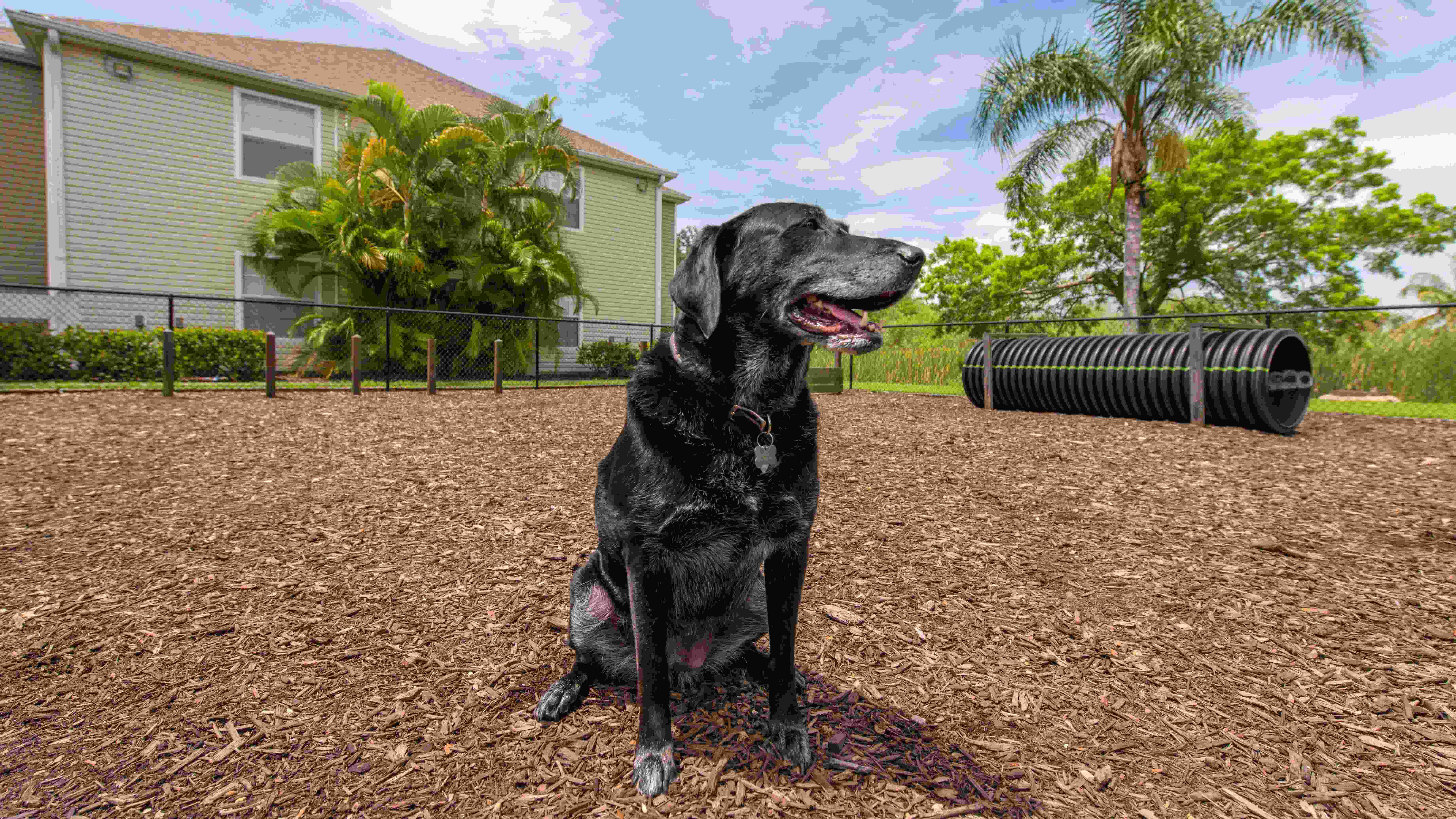 We welcome furry family members, offering pet-friendly apartments with two exclusive paw parks.