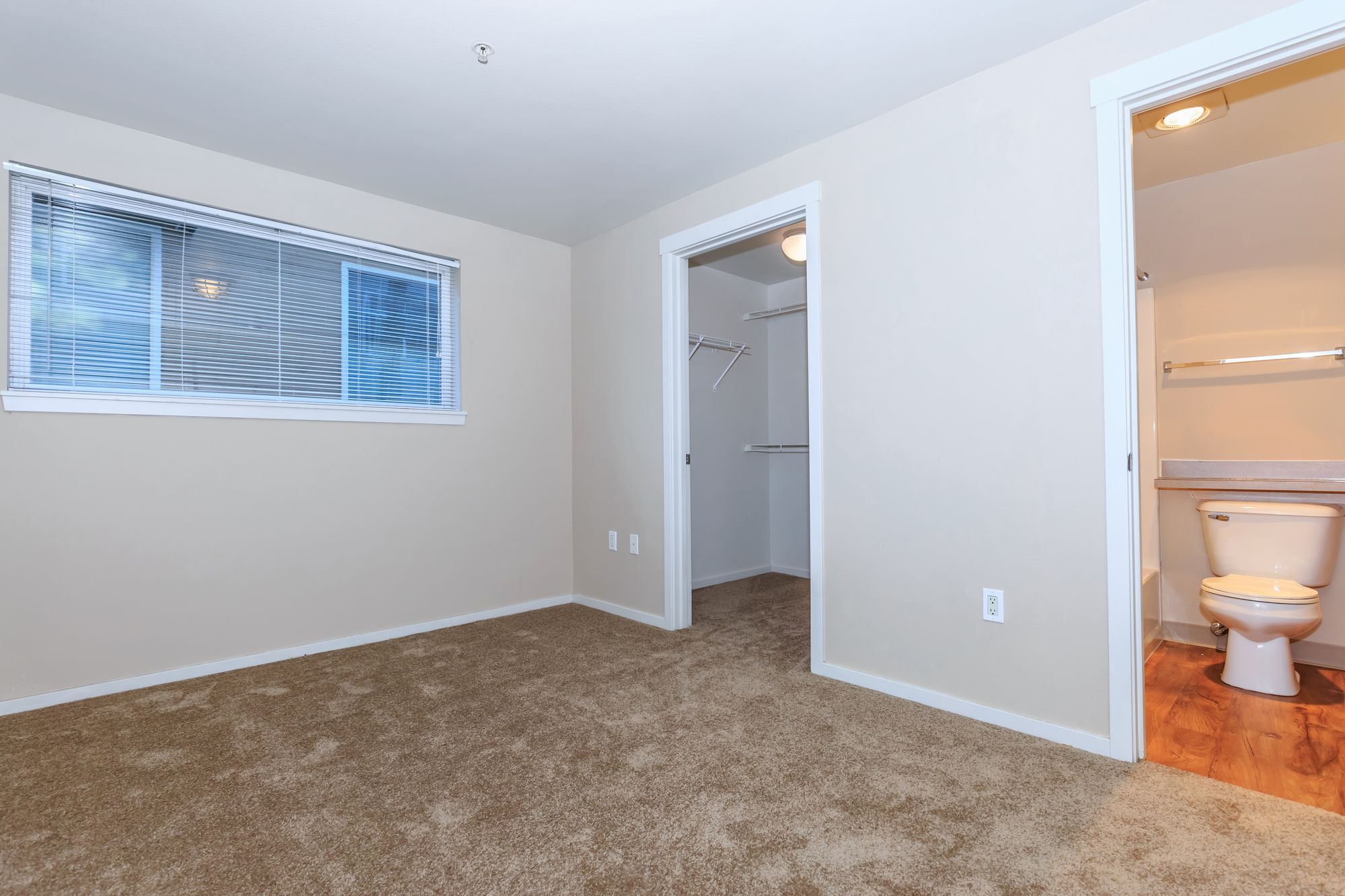 St. Theodore on Roosevelt Image 4