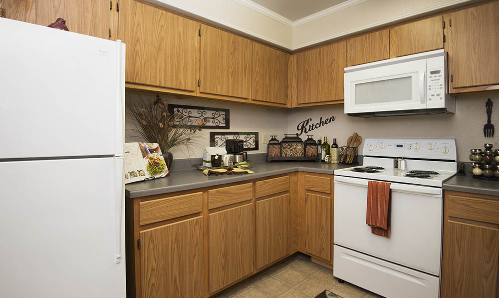 The Remington Image 16