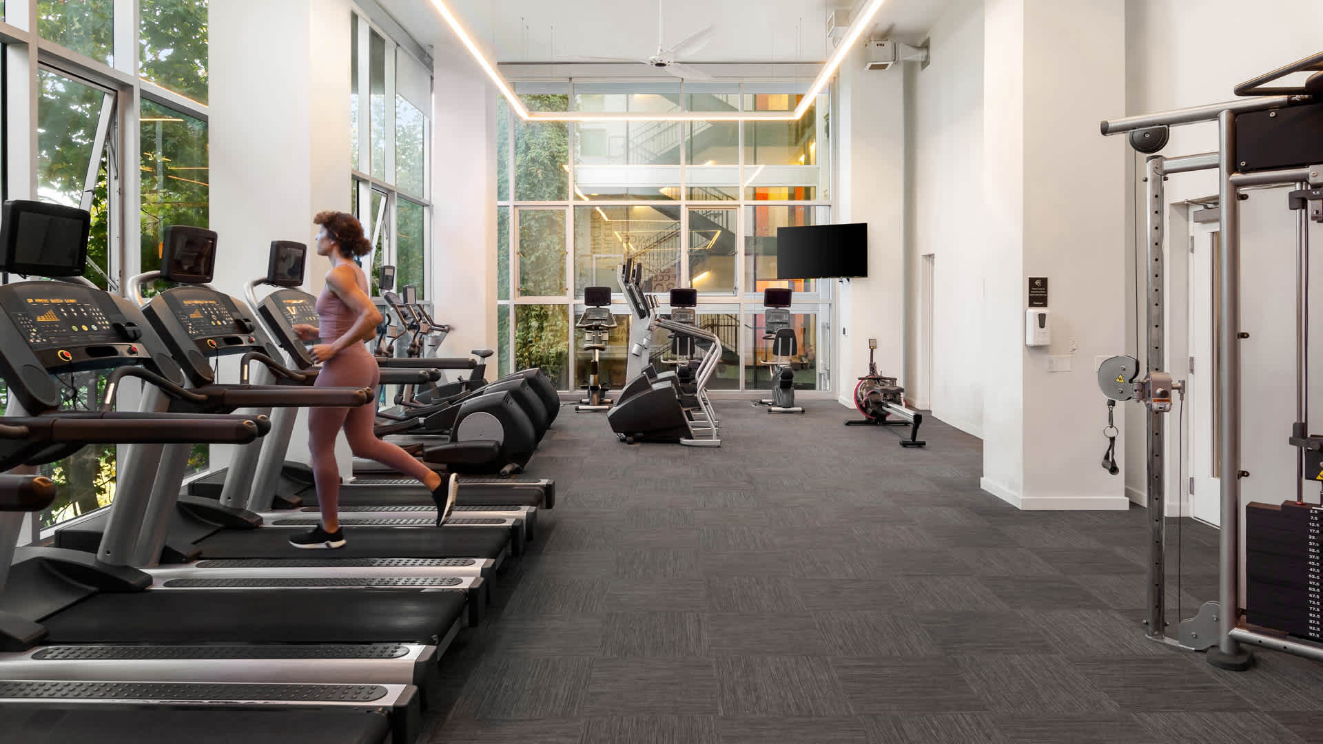 Potrero 1010  Image 37