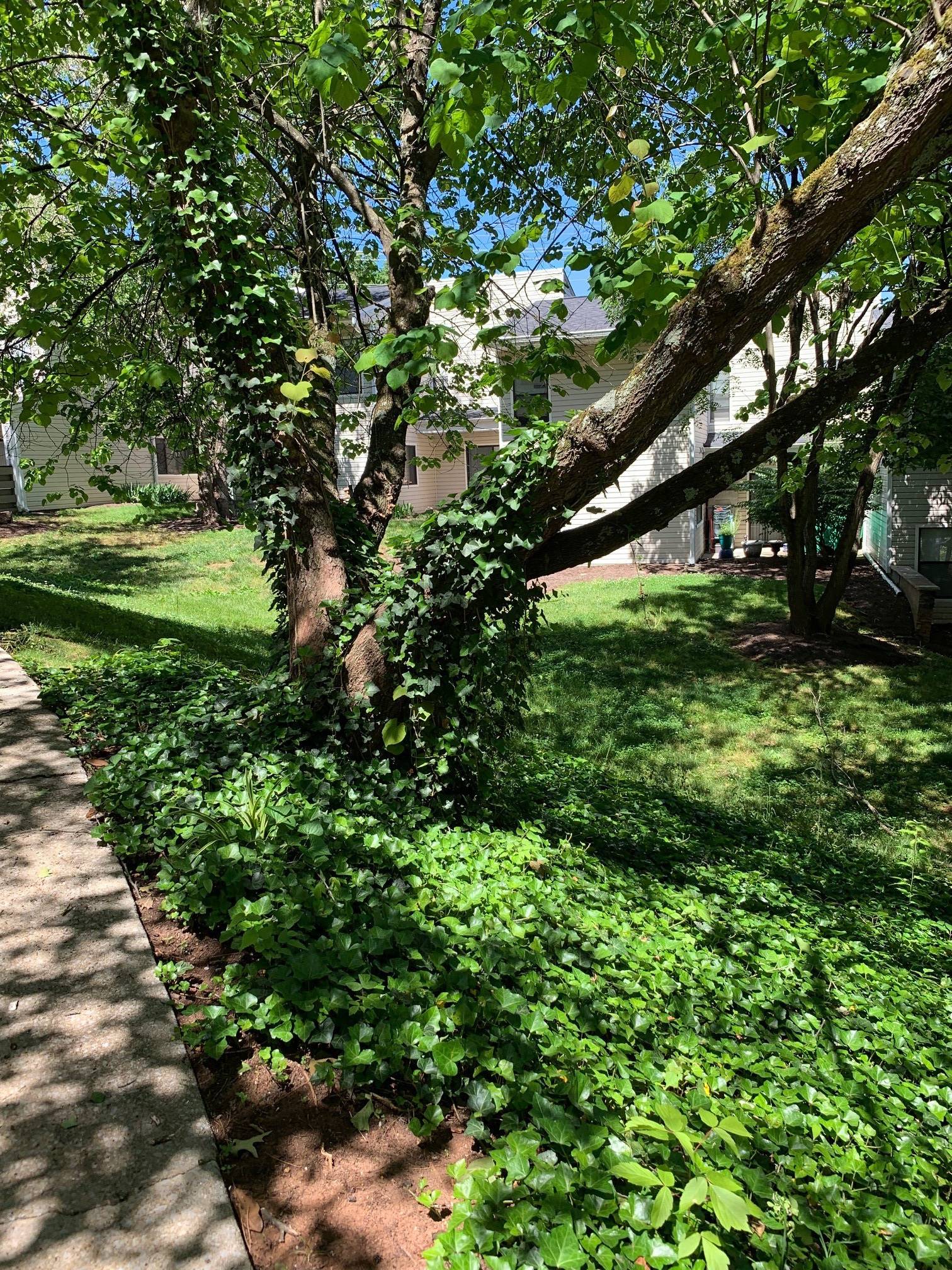 Mountain View Image 22