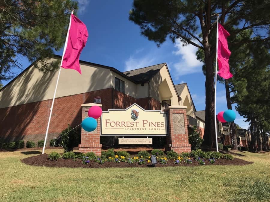 Forrest Pines Image 2