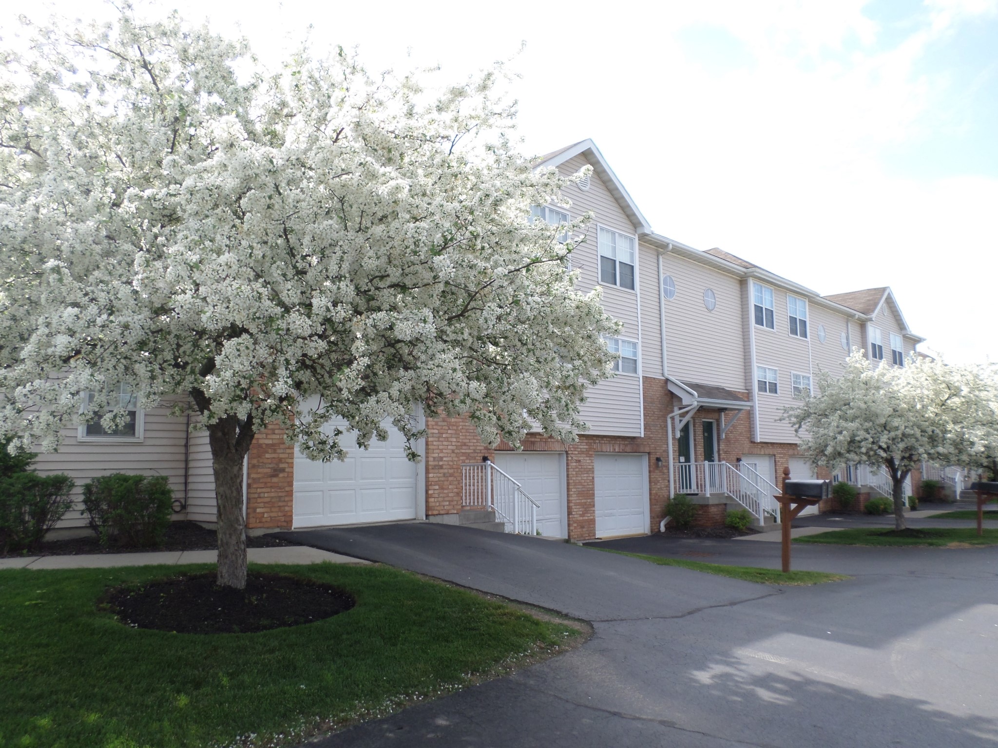 Townhomes with Tree Lined Streets