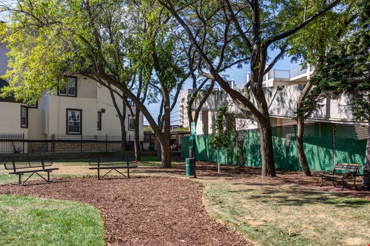 Dog Park for our Furry Friends