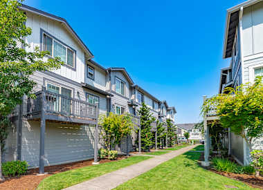 Aster Townhomes Image 1