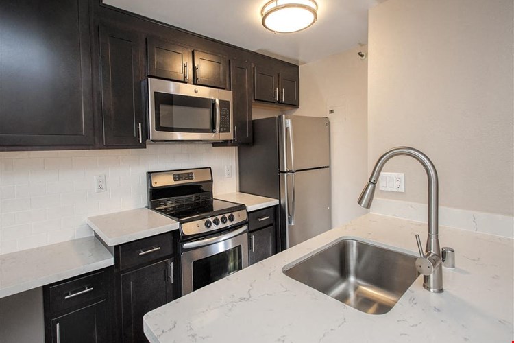 Tower 737 Condominium Rentals Image 6