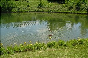 Delaware Crossing Image 5