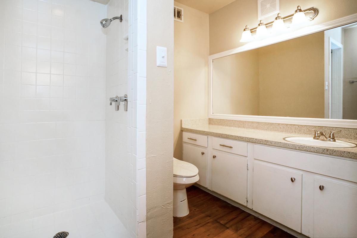 Boston Woods   Image 9