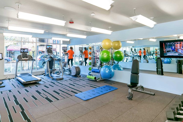 Springline  Image 27