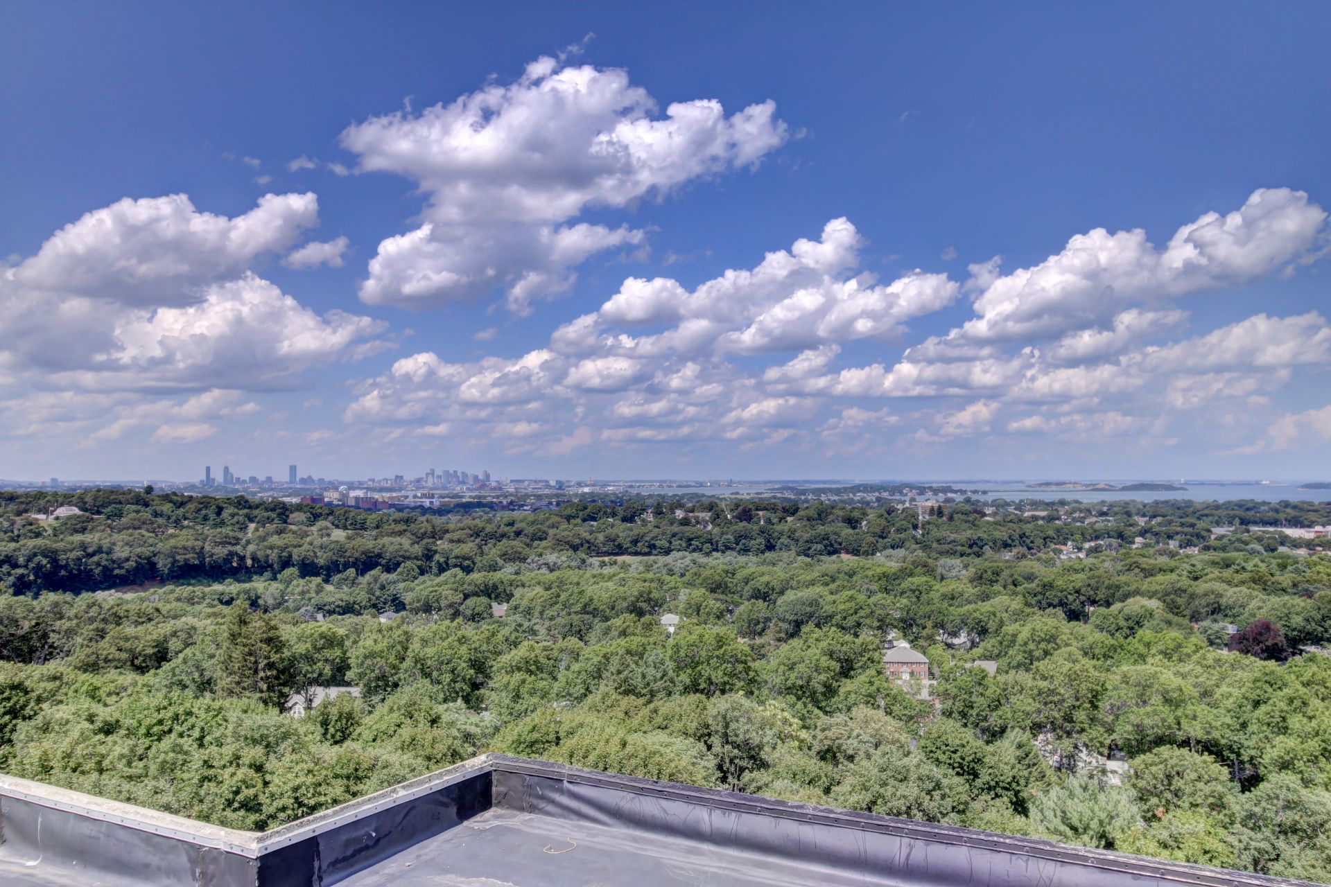Boston Skyline Views